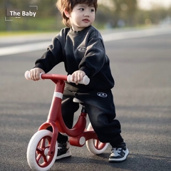 Xe thăng bằng MLOONG nhập khẩu cao cấp / MLOONG Walker