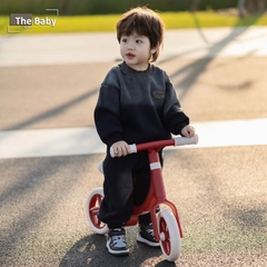 Xe thăng bằng MLOONG nhập khẩu cao cấp / MLOONG Walker