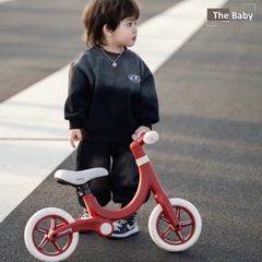 Xe thăng bằng MLOONG nhập khẩu cao cấp / MLOONG Walker