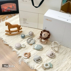 Bộ đồ chơi gặm nướu BEIYI trẻ em cao cấp / BEIYI Toys