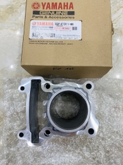 Bộ Xilanh (Nòng Hơi)