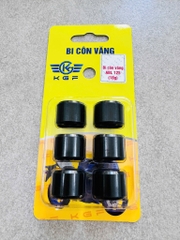 Bi Côn