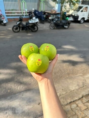 TÁO XANH MỸ