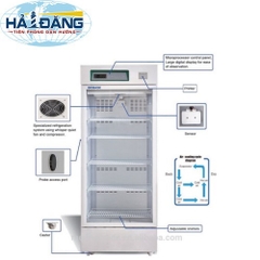 BXC-V260M Biobase - Tủ mát bảo quản mẫu 260 lít