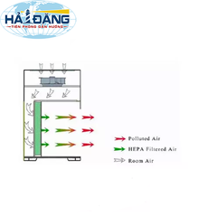 Tủ cấy vi sinh đôi dòng khí thổi ngang, LF-H1200 hãng TaisiteLab - Mỹ