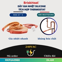 Dây Gia Nhiệt Tích Hợp Điều Khiển Thermostat (RKP) RKP2A0960 24.4M