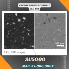 Kính hiển vi điện tử FE-SEM SU5000