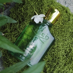 Creed Wild Vetiver EDP (2026)