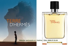 Hermes Terre D’Hermes EDT