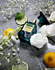 Tom Ford Neroli Portofino EDP