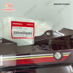 Bộ chắn bùn sau *R150CU*-BỘ NHỰA DREAM 100-2009