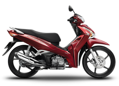 Honda Future FI đúc