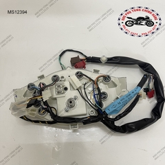 Bộ đồng hồ tốc độ WAVE RS 100cc phanh đĩa (2007-2009)