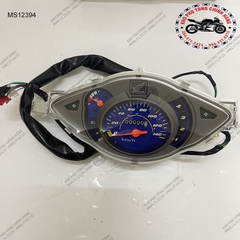 Bộ đồng hồ tốc độ WAVE RS 100cc phanh đĩa (2007-2009)