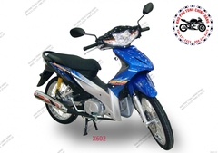 Bộ nhựa dàn áo wave RS110 cc- 2009 (Có 4 màu: Đỏ, cam,Xanh đậm, xanh nhạt)
