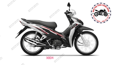 Bộ nhựa dàn áo RSX 110cc- 2021 Vành Nan(Có 4 màu: Xanh - Đỏ-Trắng-Xám đen)