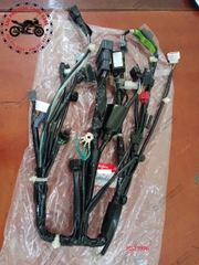 Dây điện chính Winner X .