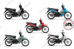 Bộ nhựa dàn áo wave Alpha 110cc-2017 (Có 5 màu: Đen- Trắng-Xanh nước biển-Xanh nõn chuối-Đỏ)