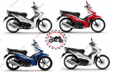 Bộ nhựa dàn áo RSX 110cc- 2009-(Có 4 màu: Trắng-Đen đỏ-Đỏ-Xanh)