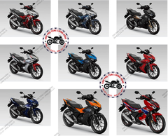 14 chi tiết nhựa màu theo xe Winner X-2019. Có đủ các màu theo xe