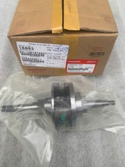 TRỤC KHUỶU VISION 2011-2013