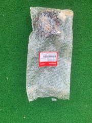 Cuộn dây máy phát điện FUTURE 125 FI 2019