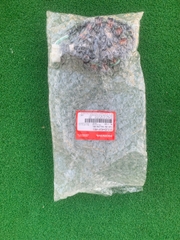 Cuộn dây máy phát điện WAVE BLADE