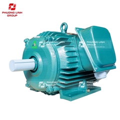 Motor điện 3 pha 0.55kw HEM 380V IP55 IE1