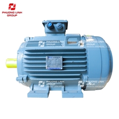 Động cơ 3 pha TECO 0.25kw 380V hộp cực liền