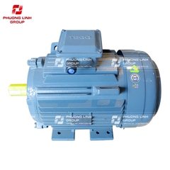 Động cơ 3 pha TECO 0.25kw 380V hộp cực liền