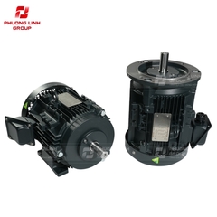 Motor điện 3 pha TOSHIBA IP5