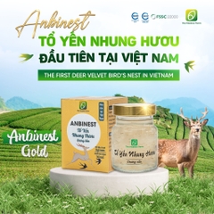 Tổ Yến Nhung Hươu Chưng Sẵn Anbinest Gold (Hũ 70ml)
