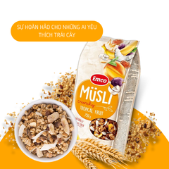 Ngũ cốc Emco vị hoa quả nhiệt đới túi 750gr