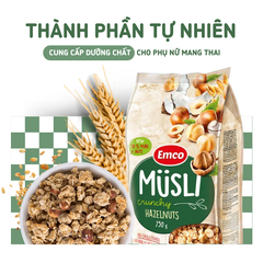 Ngũ cốc Emco vị hạt phỉ túi 750gr