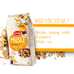 Ngũ cốc Emco vị hoa quả nhiệt đới túi 750gr