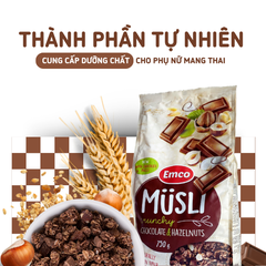 Ngũ cốc Emco vị socola và hạt phỉ túi 750gr