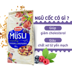 Ngũ cốc Emco vị việt quất và mâm xôi túi 750gr