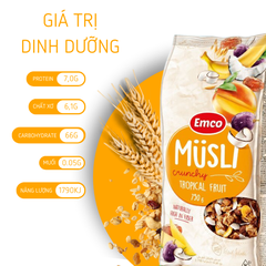 Ngũ cốc Emco vị hoa quả nhiệt đới túi 750gr