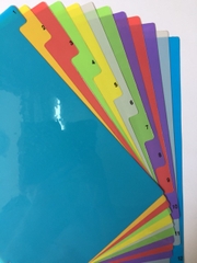 Chia file (Phân trang) nhựa 12 số