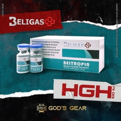 HGH BELIGAS 10x10iu