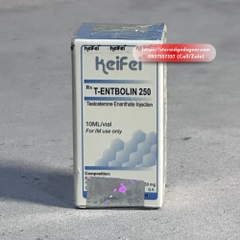 Test E 250 (Testosterone Enanthate) 250mg x 10ml - Keifei