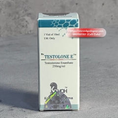 Test E (Testosterone Enanthate) 250mg/ml - Kohoh
