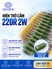 Điện trở cắm 2W 220R mới ( dây 10 con)