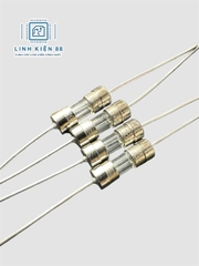 Cầu chì thủy tinh 10A 250V 3.6x100mm chân cắm