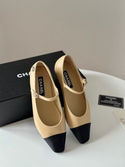 CC Ballet 24P