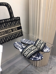 CD Dway Slides