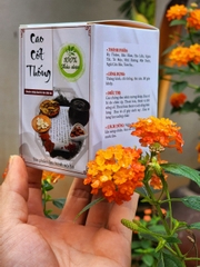 CAO CỐT THỐNG - Giảm đau tê  bì do chèn ép
