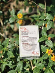DƯỠNG TÂM HOÀN