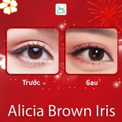Kính áp tròng Alicia Brown Iris