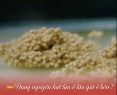 Chép Hạt Sa Phạm